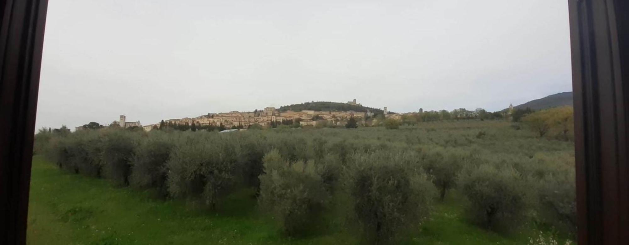 Appartamenti Cardinali Assisi Buitenkant foto
